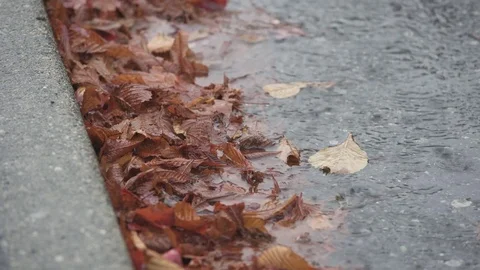 Leaves in Gutter, Heavy Rain 4K UHD Stock-Footage 81227024