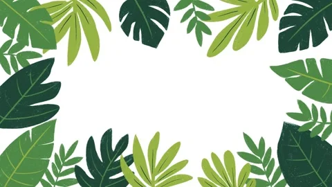 Leaves hand-drawn frame animation background Stock Footage 296365944