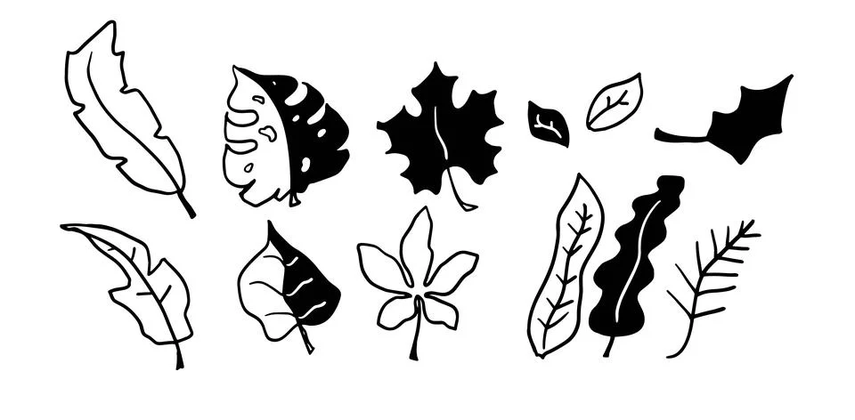 Leaves Hand-Drawn Set | Vector for Botanical and Nature-Inspired Designs Иллюстрация