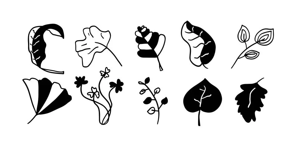 Leaves Hand-Drawn Set | Vector for Botanical and Nature-Inspired Designs Stock Illustration