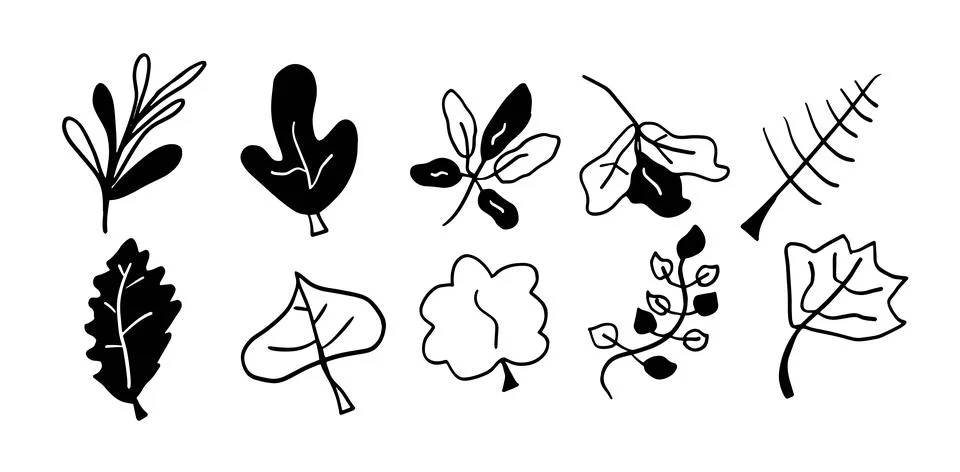 Leaves Hand-Drawn Set | Vector for Botanical and Nature-Inspired Designs Stock Illustration
