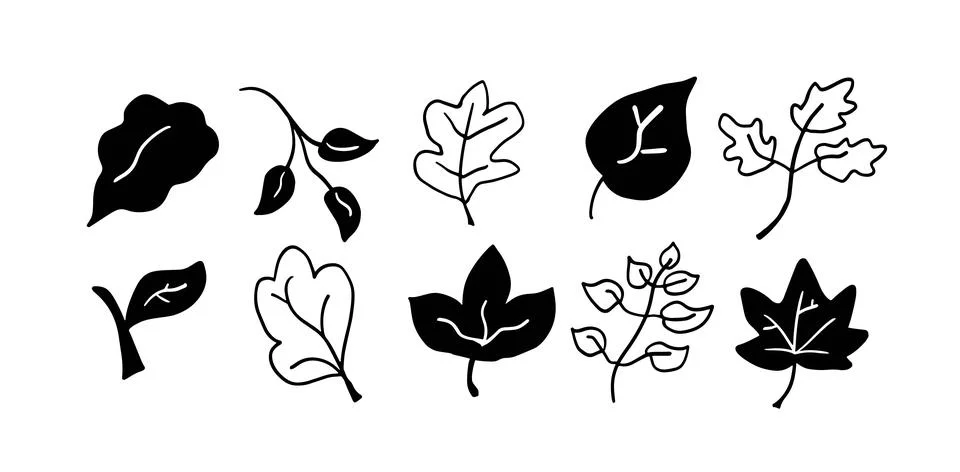 Leaves Hand-Drawn Set | Vector for Botanical and Nature-Inspired Designs Stock Illustration