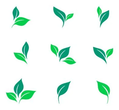 Leaves icon vector set isolated on white background. Various shapes of green Stock Illustration