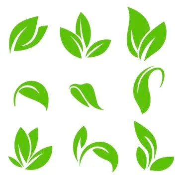 Leaves icon vector set isolated on white background. Various shapes of green Stock Illustration