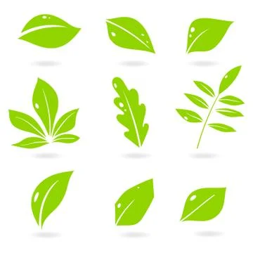 Leaves icon vector set isolated on white background. Various shapes of green Stock Illustration