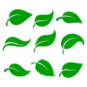 Leaves icon vector set isolated on white background. Various shapes of green  Stock Illustration