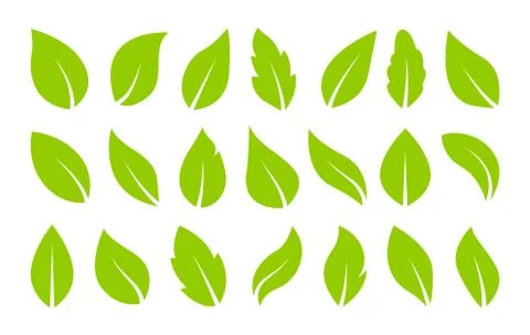 Leaves icon vector set isolated on white background. Various shapes of green  Stock Illustration