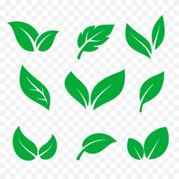 Leaves icons isolated vector set. Green tree leaf, eco and organic bio logo e Stock Illustration