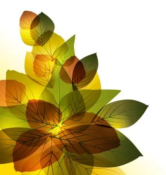 Leaves Stock Illustration