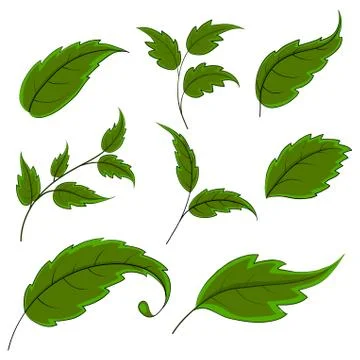 Leaves Stock-Illustration