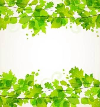 Leaves Stock Illustration