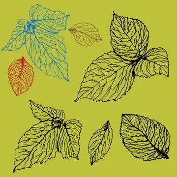 Leaves Stock Illustration