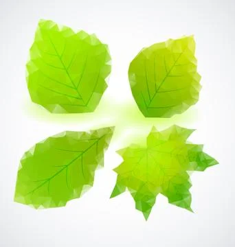 Leaves Stock Illustration