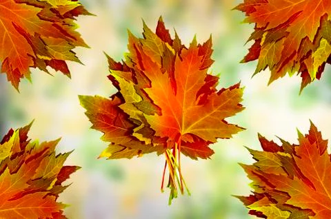 Leaves Stock Illustration