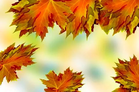 Leaves Stock-Illustration