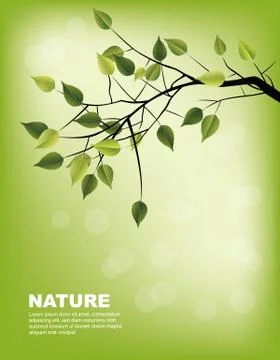 Leaves Stock Illustration