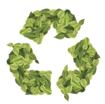 Leaves Stock Illustration