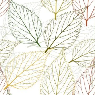 Leaves Stock Illustration