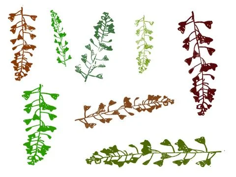 Leaves  Stock Illustration