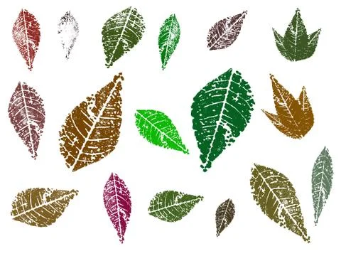Leaves  Stock Illustration