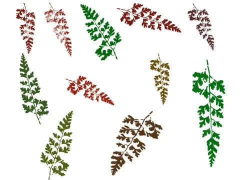 Leaves  스톡 일러스트