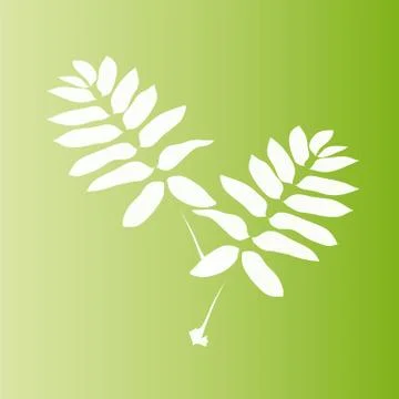 Leaves Stock Illustration