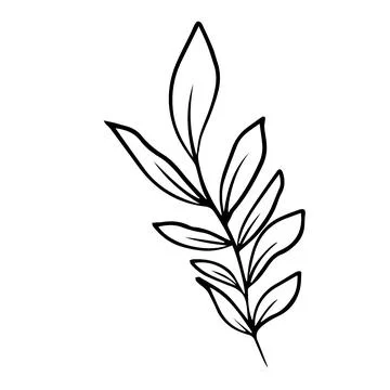 Leaves Stock Illustration