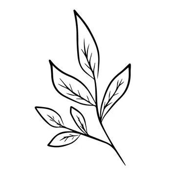 Leaves Stock Illustration