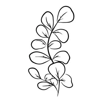 Leaves Stock Illustration