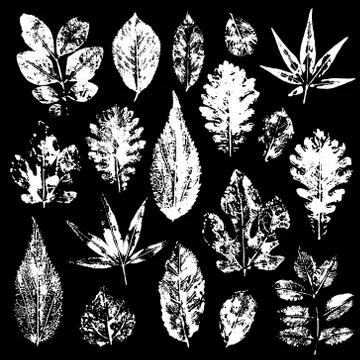 Leaves imprints set. Vector illustration Stock Illustration