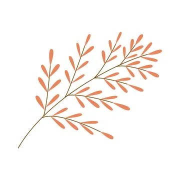Leaves isolated on white background Stock Illustration