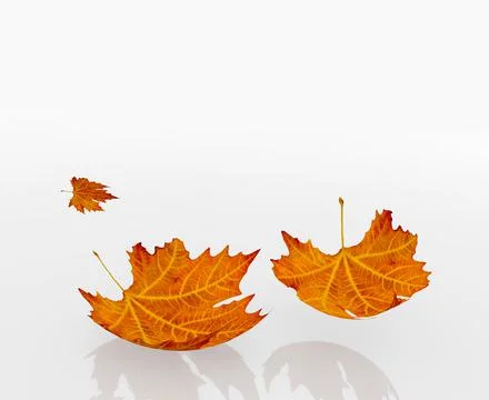 Leaves leaf falling in autumn isolated for background - 3d rendering Stock Illustration
