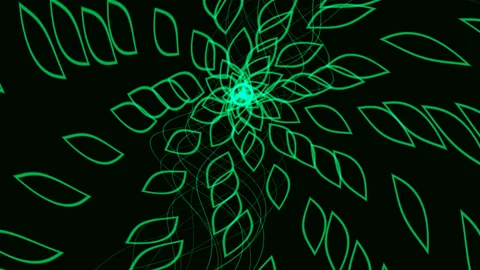 Leaves Leaf Pattern Bursting From Central Circle Rings Vidéo 139741597