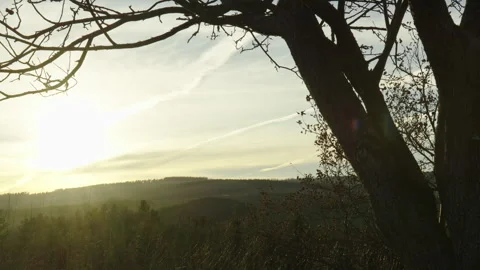 Leaves less tree silhouette in bright sunlight ray countryside valley Vídeo Stock 255464545