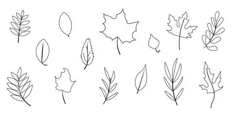 Leaves line autumn set elements forest doodle Illustrazione stock