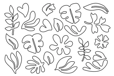 Leaves line collection hand drawn.Vector illustration. イラスト素材