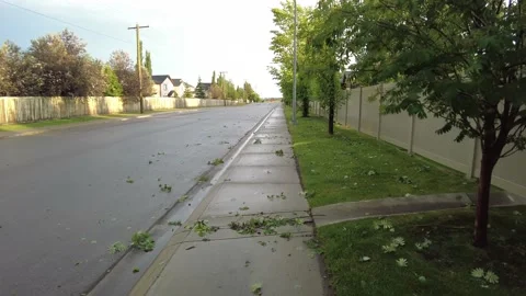 Leaves lying on the ground after a heavy hail storm in Calgary, Alberta, Canada Stock-Footage 160699485