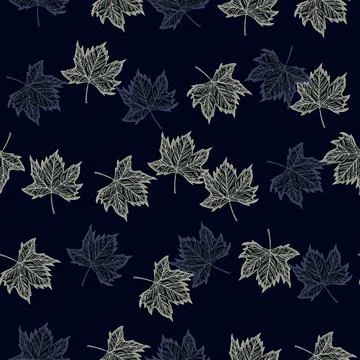 Leaves maple engraved seamless pattern. Vintage background botanical with can 스톡 일러스트
