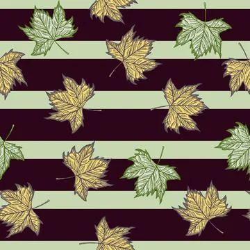 Leaves maple engraved seamless pattern. Vintage background botanical with can Stock Illustration