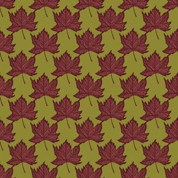 Leaves maple engraved seamless pattern. Vintage background botanical with can イラスト素材