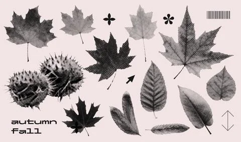 Leaves, maple leaf, chestnut isolated stippling stamps set. Grunge autumn season イラスト素材
