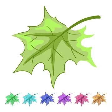 Leaves maple leaf vector cartoon graphic 库存插图