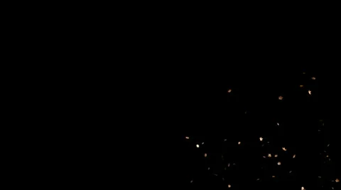 Leaves medium distance blowing masked Stock Footage 33474017