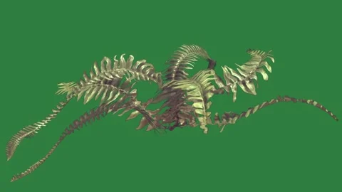Leaves Motion - Chroma Key Green Screen Footage Stock Footage 338011571