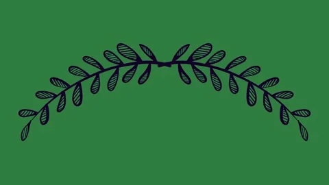 Leaves Motion Motion Graphic Overlay Vidéo 338016314