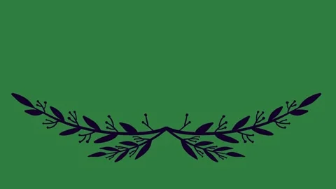 Leaves Motion Transparent Background Animation Stock Footage 338016310