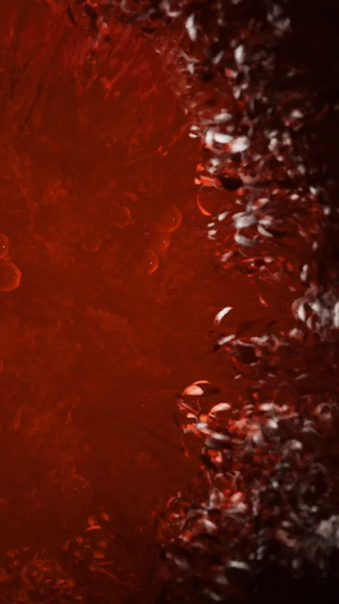 Leaves move in a warm light setting near a dark background Stock Footage 334172891