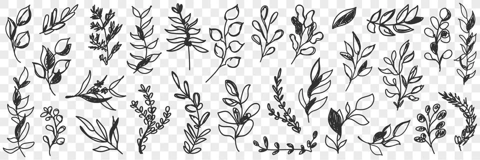 Leaves natural pattern doodle set Stock Illustration