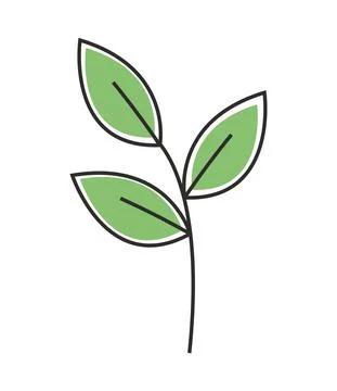 Leaves nature icon Stock Illustration