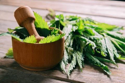Leaves of nettle in mortar Stock Photos